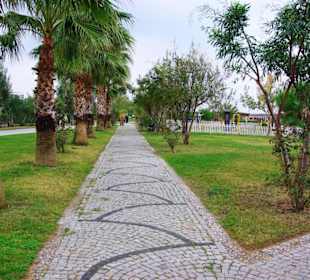 Aufgenommen vom 23.-29.11.2013