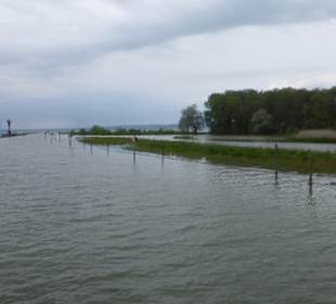 Mündungsgebiet vom Alten Rhein in den Bodensee