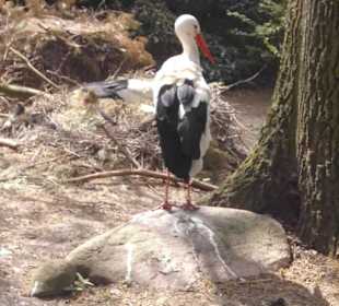 Weltvogelpark Walsrode