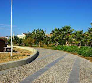 Ende Nov. 2012 Am Strand entlang