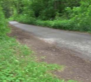 BarfussPark Hallwangen