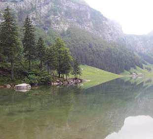 View on the valley and the lake