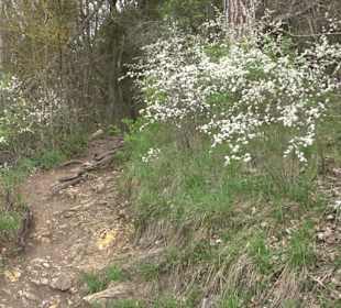 Wanderung rund um das Rusenschloss Gerhausen