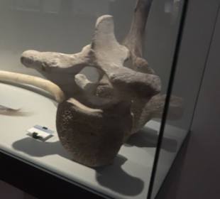 Deutsches Technikmuseum