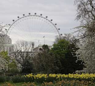 Blick zum Eye über den Green Park