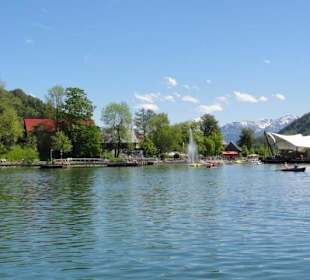 Segeln am Großen Alpsee
