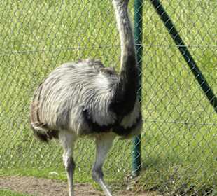 Serengeti Park Hodenhagen