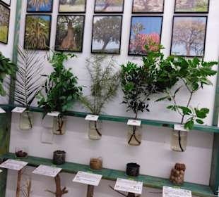 Rodos Nature - Folklore Museum