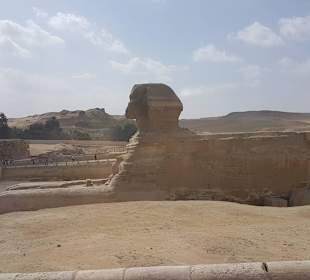 Sphinx