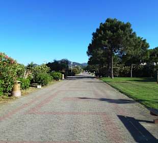 Spaziergang über die Strandpromenade Argelès-Plage