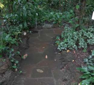 Tropicarium