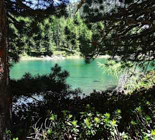 Zirmtalersee Vinschgau