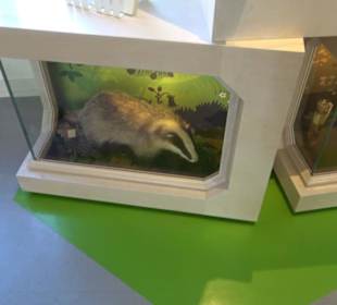 Museum für Naturkunde