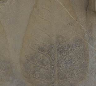 Płaskorzeźba w Persepolis