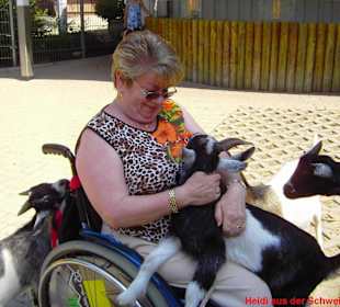 eine tierrische Begrüßung