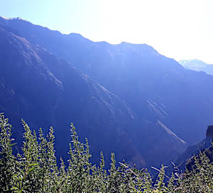 Colca-Canyon