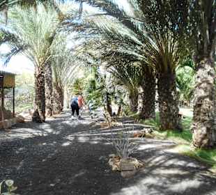 Botanischer Garten Viveiro