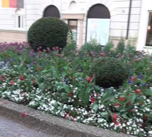 Altstadt Bad Reichenhall