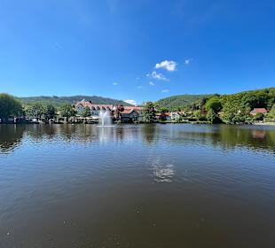 Forellenteich Ilsenburg