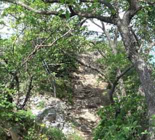 Premiumwanderweg "hochgelegen"