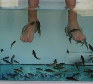 Die unmittelbare Umgebung