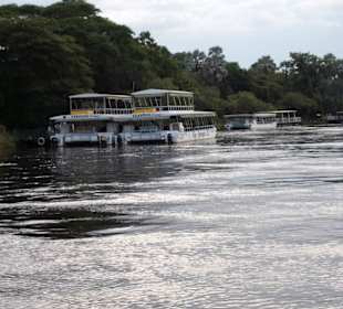 Viele Boote warten auf Gäste