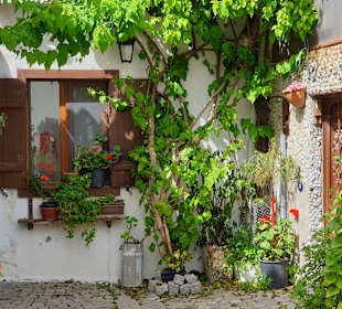 Stadtrundgang Sigacik