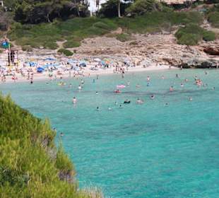 Plaza przy hotelu Insotel Club Cala Mandia