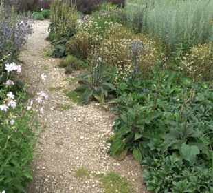 ALB-GOLD Naturgarten