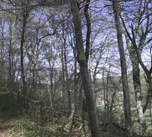 Wanderweg Hochgehswiggert