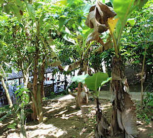 Blick hinunter zum Fluss