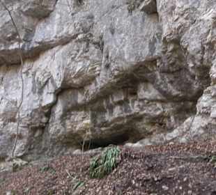 Wolfsschlucht