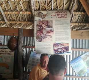 Mit Paco auf der kleinen Schildkrötenfarm