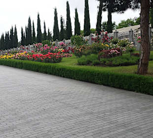 Stare miasto Tbilisi