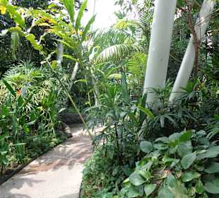 Der Park unter dem Riesenrad