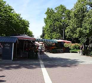 Am Platz