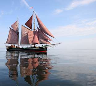 Kajsamoor