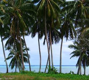 Vista dalla strada principale