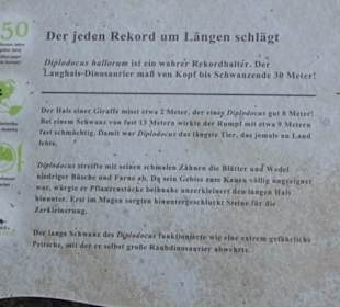 Dinosaurier Museum Altmühltal