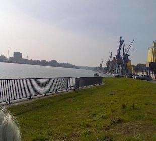 Von der Begrüßungsanlage