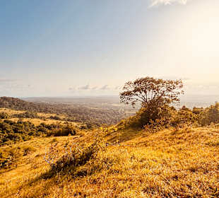 Traumhaft Landschaft im Tsavo