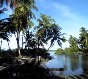 Süßwassersee im Norden des Atolls