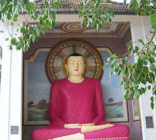 Buddha auf der Tempelinsel