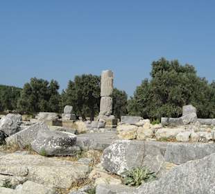 Ein paar Säulen am Dionysostempel