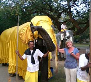 Lange vor der Perahera