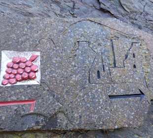 Auf den Spuren der Trauben