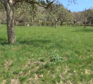 Rundweg am Beutenlay