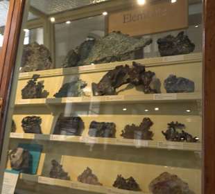 Museum für Naturkunde