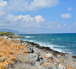 Ein paar Inspirationen von unserer Strandwanderung