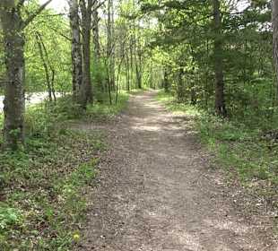 Walderlebnisweg Rottenburg